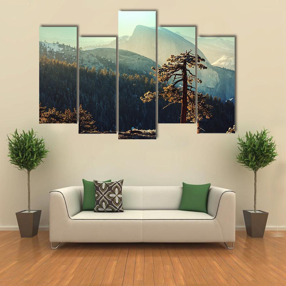 Tree In Yosemite Landscapes Canvas Wall Art-5 Pop-Gallery Wrap-47" x 32"-Tiaracle
