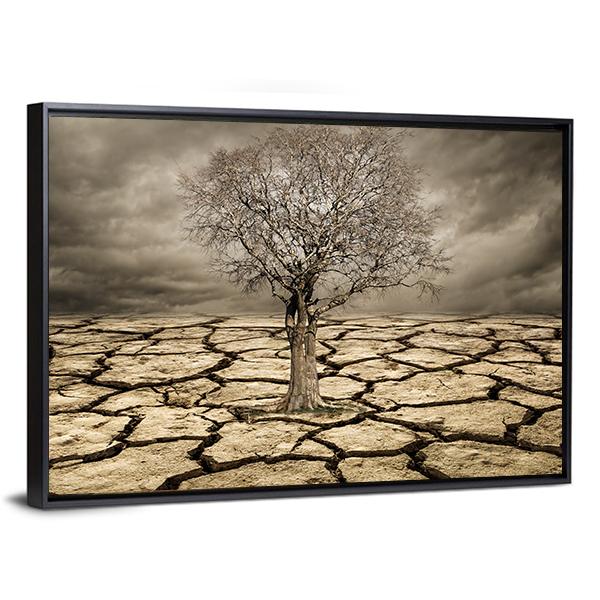 Tree On Cracked Mud Canvas Wall Art-3 Horizontal-Gallery Wrap-25" x 16"-Tiaracle
