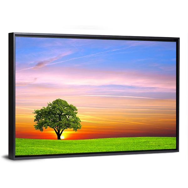 Tree On Field Canvas Wall Art-3 Horizontal-Gallery Wrap-25" x 16"-Tiaracle