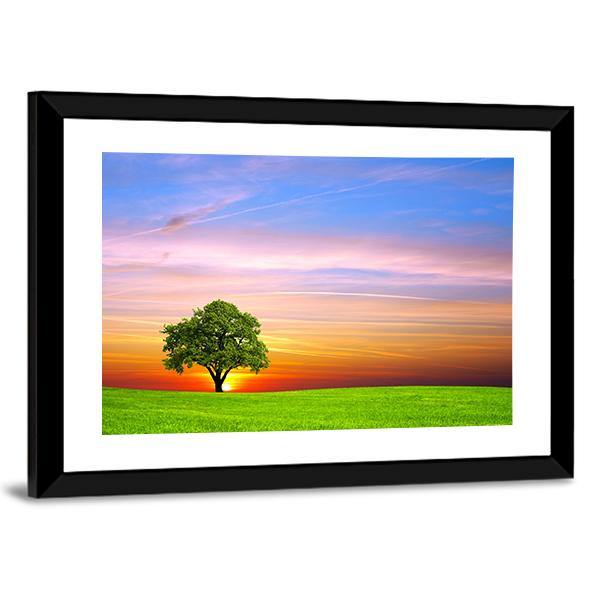 Tree On Field Canvas Wall Art-3 Horizontal-Gallery Wrap-25" x 16"-Tiaracle