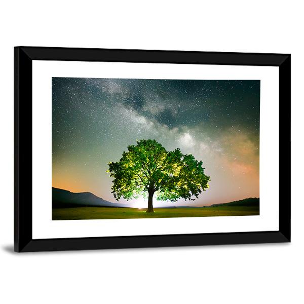 Tree On Field Under Milky Way Galaxy In Romania Panoramic Canvas Wall Art-1 Piece-36" x 12"-Tiaracle