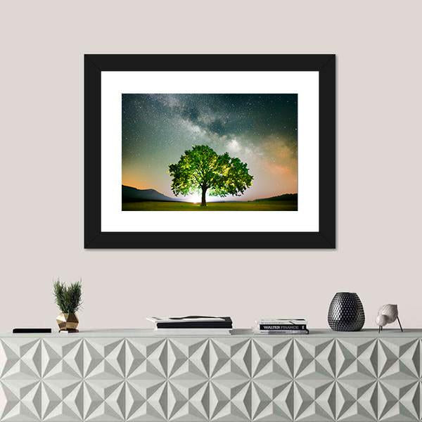 Tree On Field Under Milky Way Galaxy In Romania Panoramic Canvas Wall Art-1 Piece-36" x 12"-Tiaracle