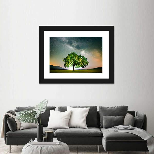 Tree On Field Under Milky Way Galaxy In Romania Panoramic Canvas Wall Art-1 Piece-36" x 12"-Tiaracle