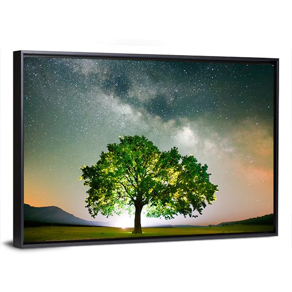 Tree On Field Under Milky Way Galaxy In Romania Panoramic Canvas Wall Art-1 Piece-36" x 12"-Tiaracle