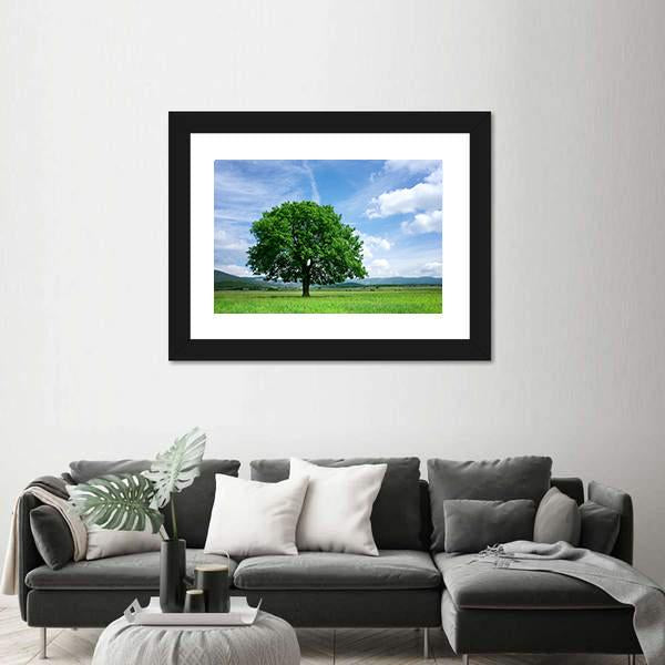 Tree On Green Field Canvas Wall Art-1 Piece-Framed Print-20" x 16"-Tiaracle