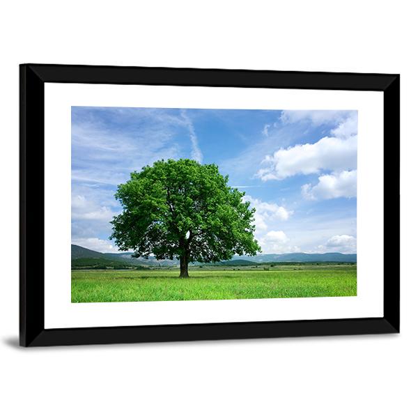 Tree On Green Field Canvas Wall Art-3 Horizontal-Gallery Wrap-25" x 16"-Tiaracle