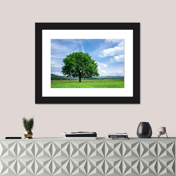 Tree On Green Field Canvas Wall Art-3 Horizontal-Gallery Wrap-25" x 16"-Tiaracle