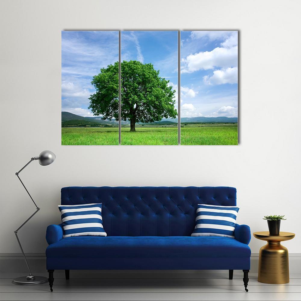 Tree On Green Field Canvas Wall Art-3 Horizontal-Gallery Wrap-37" x 24"-Tiaracle