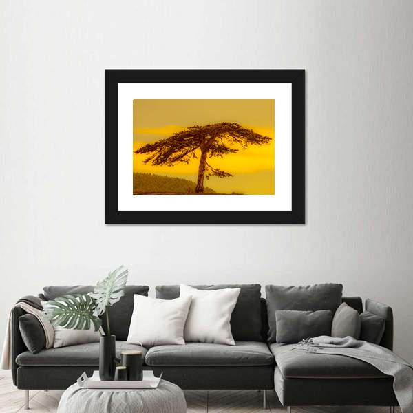 Tree On Hill Canvas Wall Art-1 Piece-Framed Print-20" x 16"-Tiaracle
