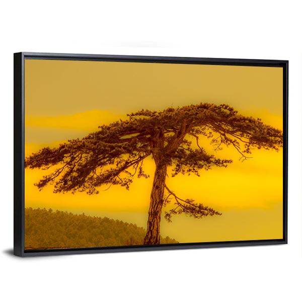 Tree On Hill Canvas Wall Art-3 Horizontal-Gallery Wrap-25" x 16"-Tiaracle