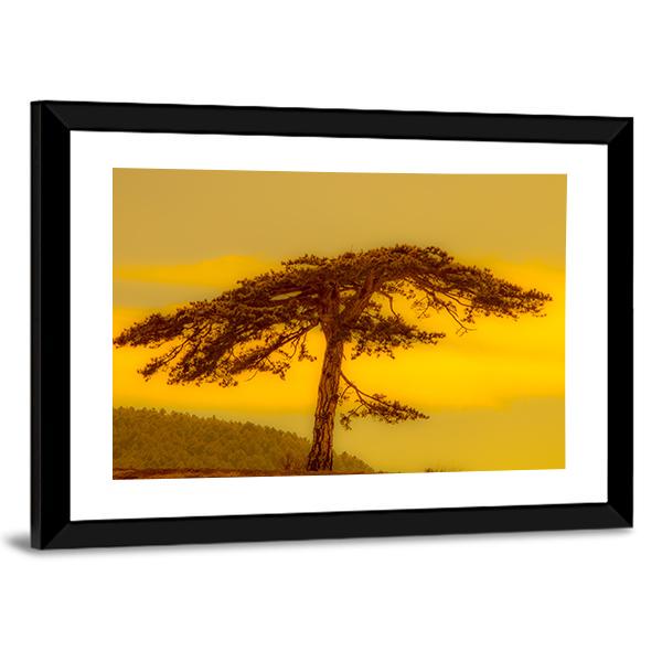 Tree On Hill Canvas Wall Art-3 Horizontal-Gallery Wrap-25" x 16"-Tiaracle