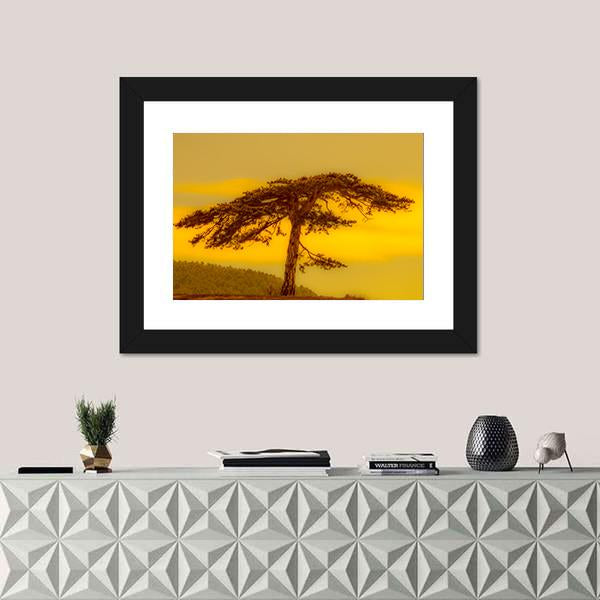 Tree On Hill Canvas Wall Art-3 Horizontal-Gallery Wrap-25" x 16"-Tiaracle