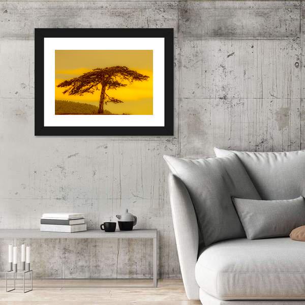 Tree On Hill Canvas Wall Art-3 Horizontal-Gallery Wrap-25" x 16"-Tiaracle