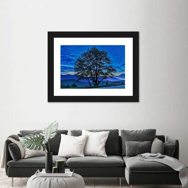Tree On The Blue Ridge Parkway Canvas Wall Art-1 Piece-Framed Print-20" x 16"-Tiaracle