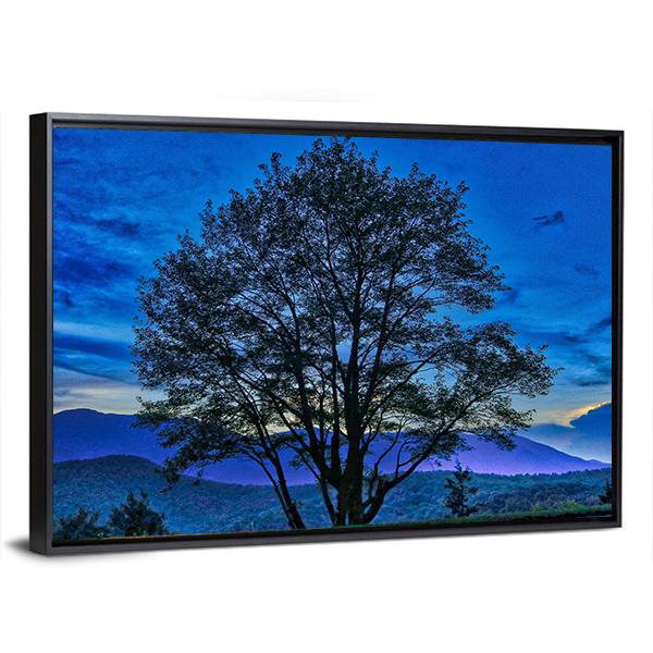 Tree On The Blue Ridge Parkway Canvas Wall Art-3 Horizontal-Gallery Wrap-25" x 16"-Tiaracle