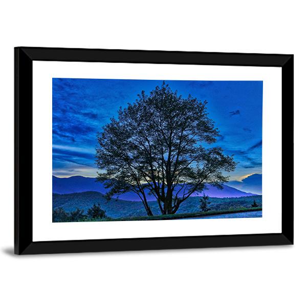 Tree On The Blue Ridge Parkway Canvas Wall Art-3 Horizontal-Gallery Wrap-25" x 16"-Tiaracle