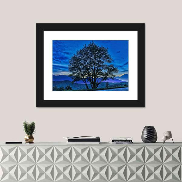 Tree On The Blue Ridge Parkway Canvas Wall Art-3 Horizontal-Gallery Wrap-25" x 16"-Tiaracle