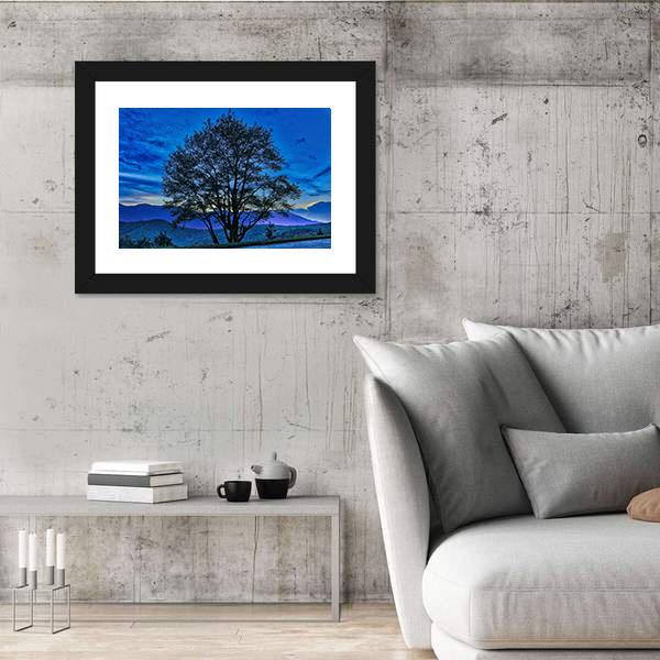 Tree On The Blue Ridge Parkway Canvas Wall Art-3 Horizontal-Gallery Wrap-25" x 16"-Tiaracle