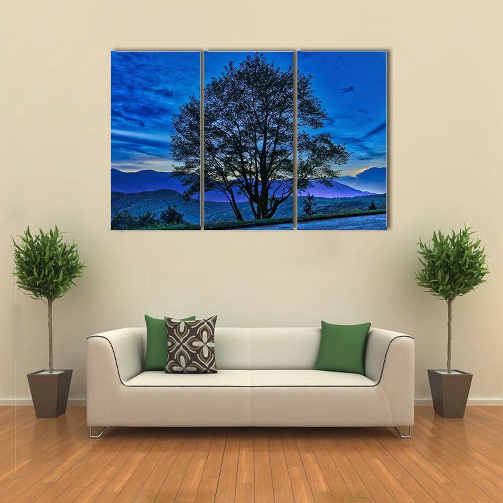 Tree On The Blue Ridge Parkway Canvas Wall Art-3 Horizontal-Gallery Wrap-37" x 24"-Tiaracle