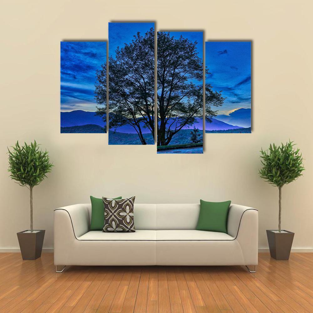 Tree On The Blue Ridge Parkway Canvas Wall Art-4 Pop-Gallery Wrap-50" x 32"-Tiaracle