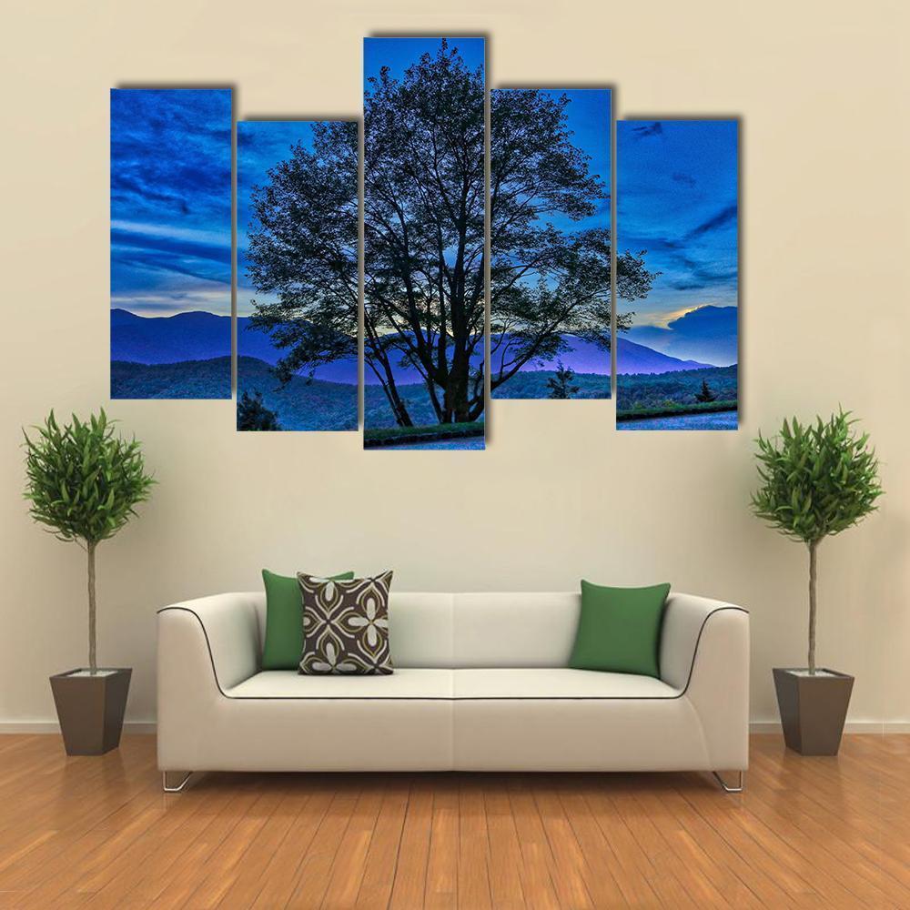 Tree On The Blue Ridge Parkway Canvas Wall Art-5 Pop-Gallery Wrap-47" x 32"-Tiaracle