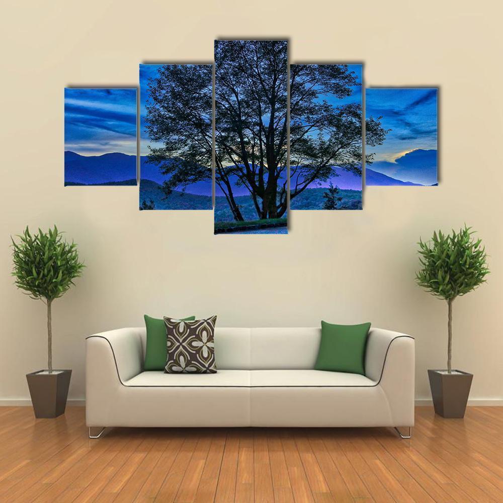 Tree On The Blue Ridge Parkway Canvas Wall Art-5 Star-Gallery Wrap-62" x 32"-Tiaracle