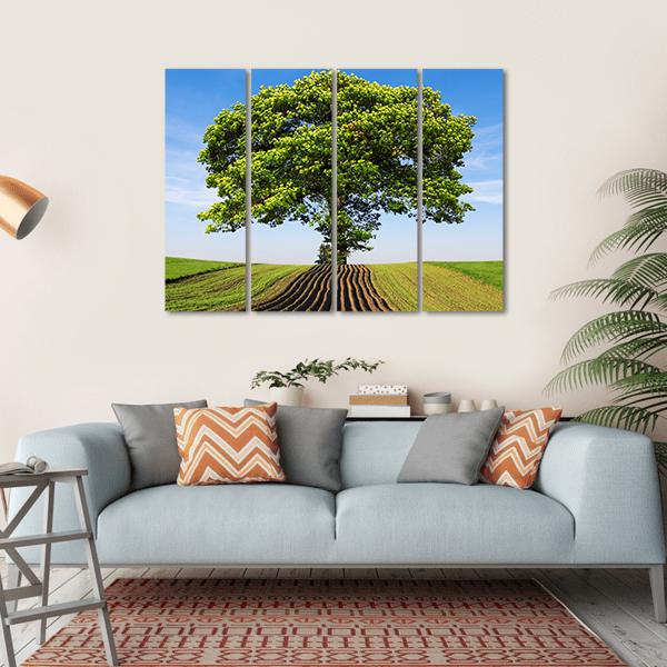 Tree On The Hill Canvas Wall Art-4 Horizontal-Gallery Wrap-34" x 24"-Tiaracle