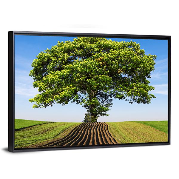 Tree On The Hill Canvas Wall Art-3 Horizontal-Gallery Wrap-25" x 16"-Tiaracle