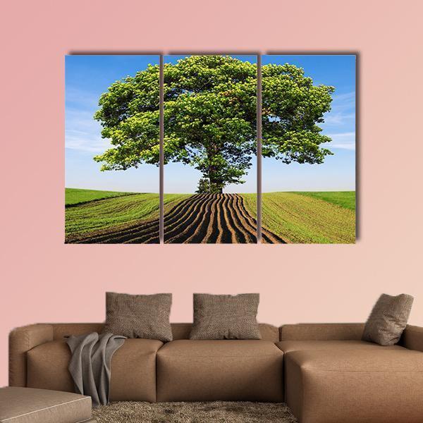 Tree On The Hill Canvas Wall Art-3 Horizontal-Gallery Wrap-37" x 24"-Tiaracle