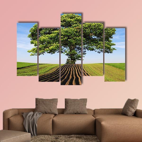 Tree On The Hill Canvas Wall Art-5 Pop-Gallery Wrap-47" x 32"-Tiaracle