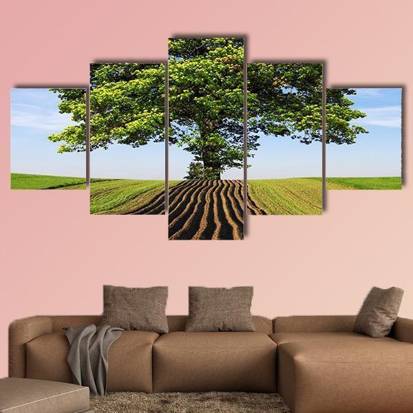 Tree On The Hill Canvas Wall Art-5 Star-Gallery Wrap-62" x 32"-Tiaracle