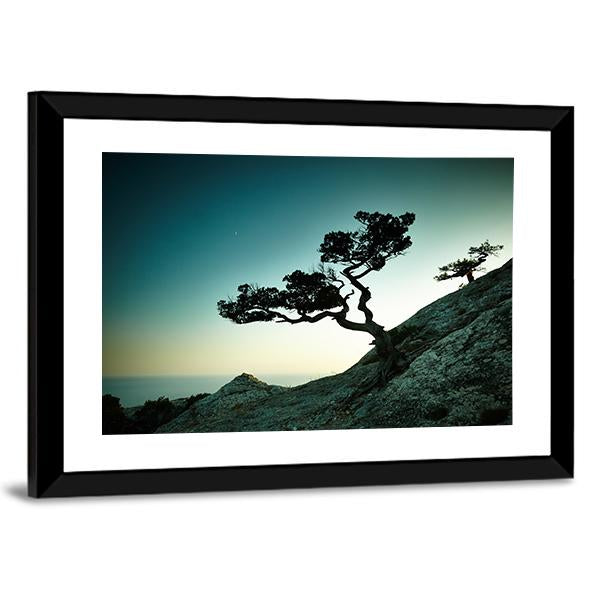 Tree & Sea At Sunset Panoramic Canvas Wall Art-1 Piece-36" x 12"-Tiaracle