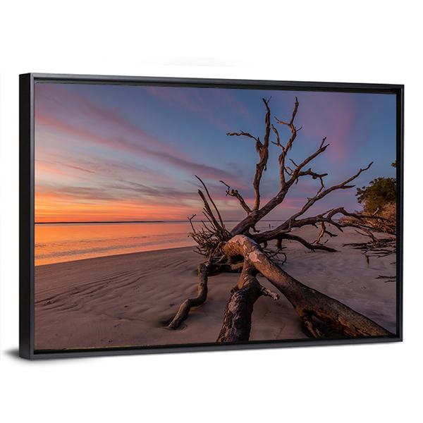 Tree Trunk On Beach Canvas Wall Art-3 Horizontal-Gallery Wrap-25" x 16"-Tiaracle