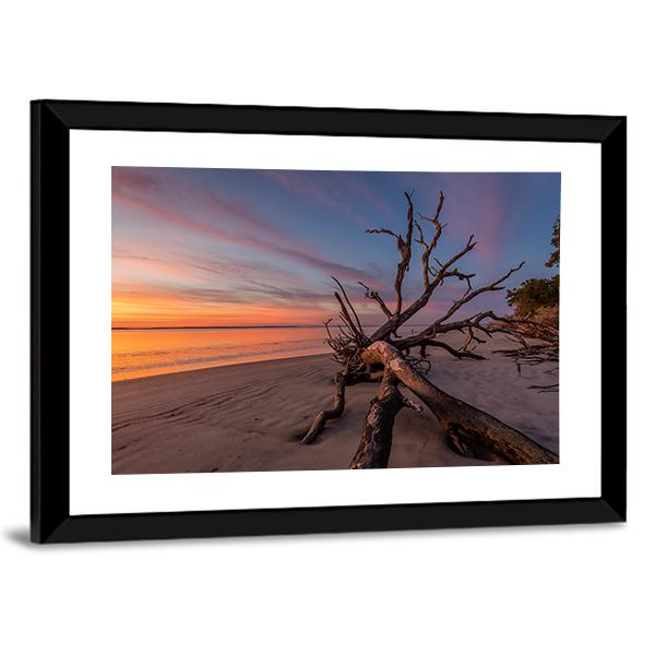 Tree Trunk On Beach Canvas Wall Art-3 Horizontal-Gallery Wrap-25" x 16"-Tiaracle