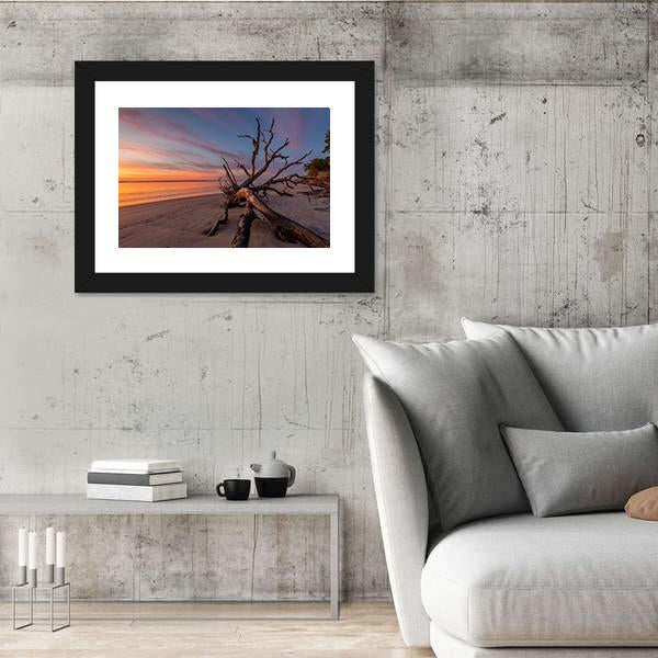 Tree Trunk On Beach Canvas Wall Art-3 Horizontal-Gallery Wrap-25" x 16"-Tiaracle