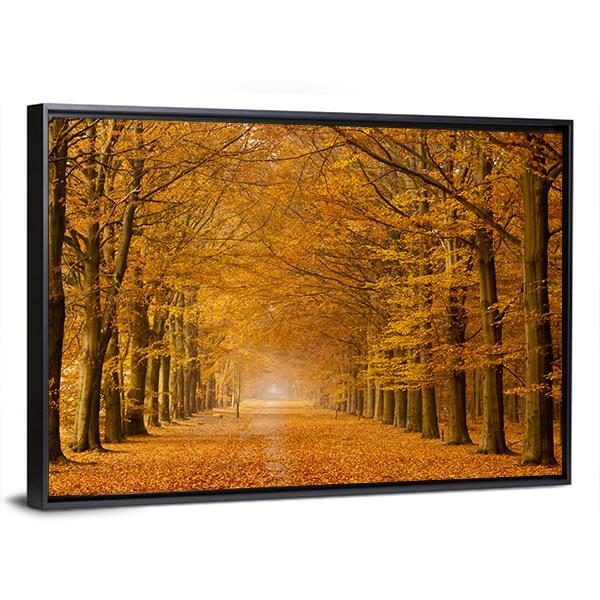 Trees Alongside Road In Autumn Canvas Wall Art-3 Horizontal-Gallery Wrap-25" x 16"-Tiaracle