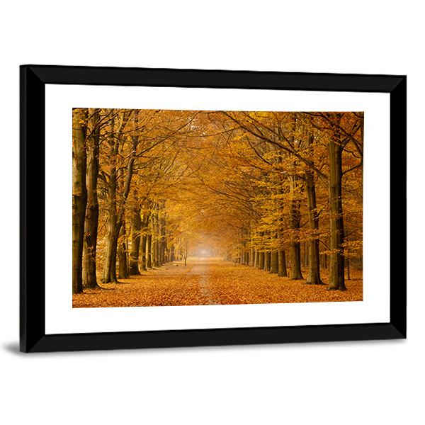 Trees Alongside Road In Autumn Canvas Wall Art-3 Horizontal-Gallery Wrap-25" x 16"-Tiaracle