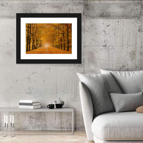 Trees Alongside Road In Autumn Canvas Wall Art-3 Horizontal-Gallery Wrap-25" x 16"-Tiaracle