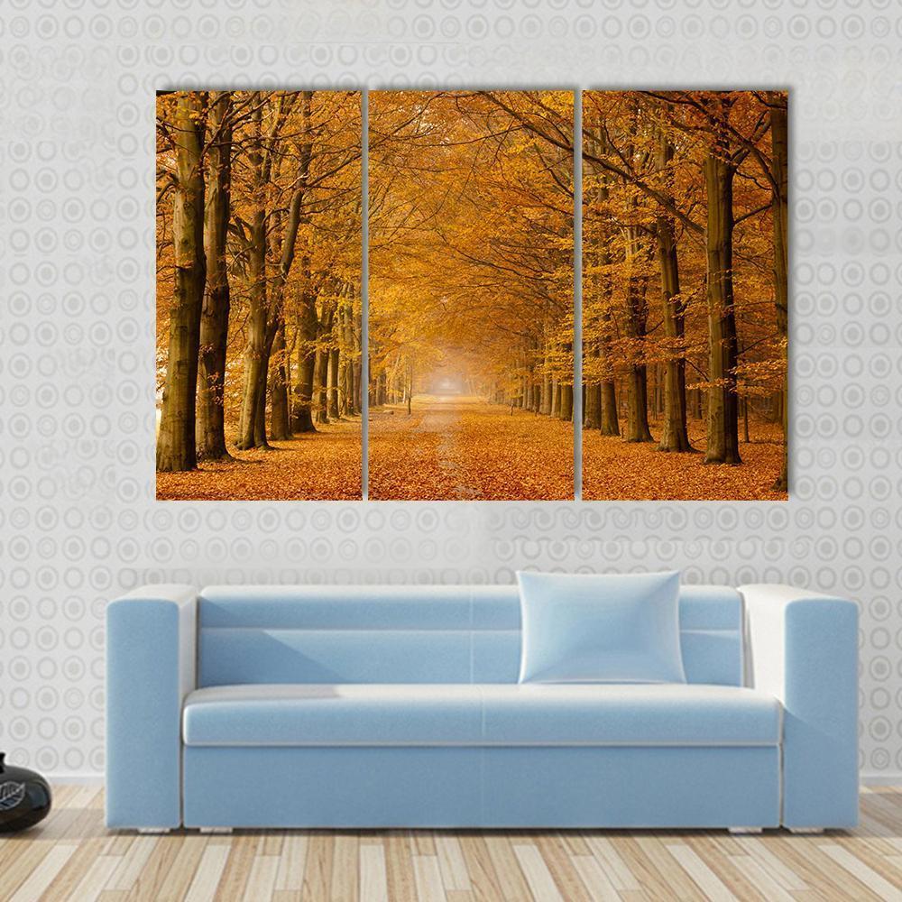 Trees Alongside Road In Autumn Canvas Wall Art-3 Horizontal-Gallery Wrap-37" x 24"-Tiaracle