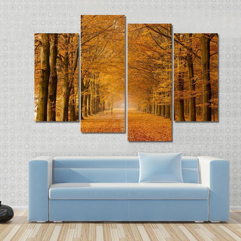 Trees Alongside Road In Autumn Canvas Wall Art-4 Pop-Gallery Wrap-50" x 32"-Tiaracle