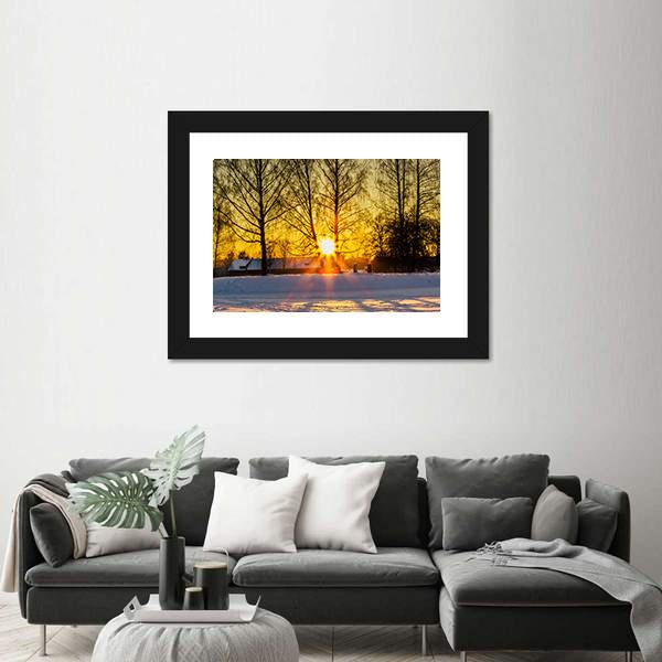 Trees In A Cold Winter Day With The Sun Rays Canvas Wall Art-1 Piece-Framed Print-20" x 16"-Tiaracle
