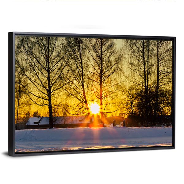 Trees In A Cold Winter Day With The Sun Rays Canvas Wall Art-3 Horizontal-Gallery Wrap-25" x 16"-Tiaracle