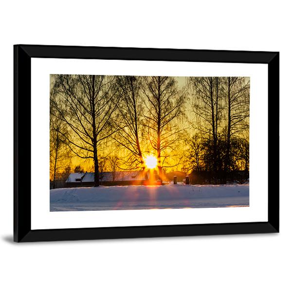 Trees In A Cold Winter Day With The Sun Rays Canvas Wall Art-3 Horizontal-Gallery Wrap-25" x 16"-Tiaracle