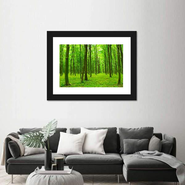 Spring Forest with Tall Trees Canvas Wall Art in brown and green, 3 panel horizontal set hung on a wall