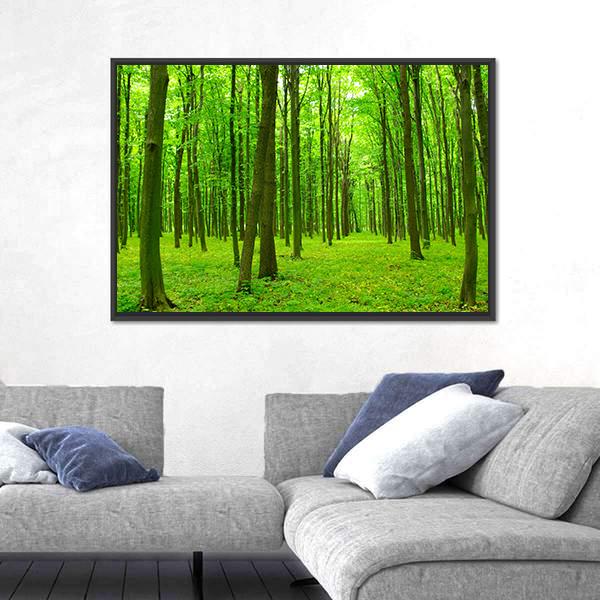 Spring Forest with Tall Trees Canvas Wall Art in brown and green, framed canvas, product view on a white background