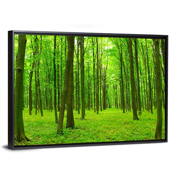 Trees In A Green Forest In Spring Canvas Wall Art-3 Horizontal-Gallery Wrap-25" x 16"-Tiaracle