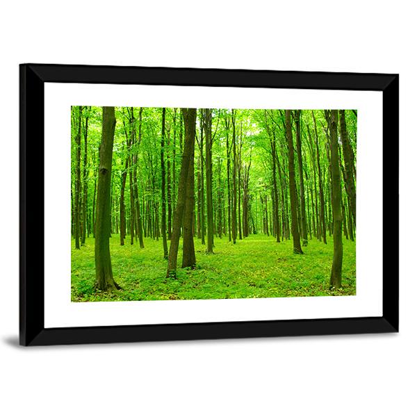 Trees In A Green Forest In Spring Canvas Wall Art-3 Horizontal-Gallery Wrap-25" x 16"-Tiaracle