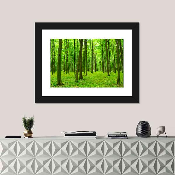 Trees In A Green Forest In Spring Canvas Wall Art-3 Horizontal-Gallery Wrap-25" x 16"-Tiaracle