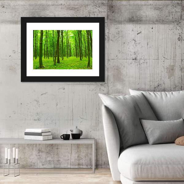 Trees In A Green Forest In Spring Canvas Wall Art-3 Horizontal-Gallery Wrap-25" x 16"-Tiaracle