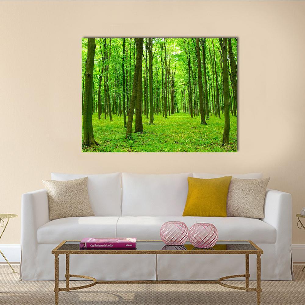 Spring Forest with Tall Trees Canvas Wall Art in brown and green, 3 panel horizontal set hung on a wall